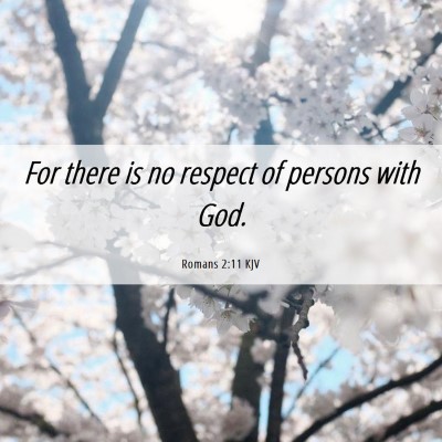 Picture 06 - Romans 2:11 KJV - For there is no respect of persons with - Bible Verse Picture