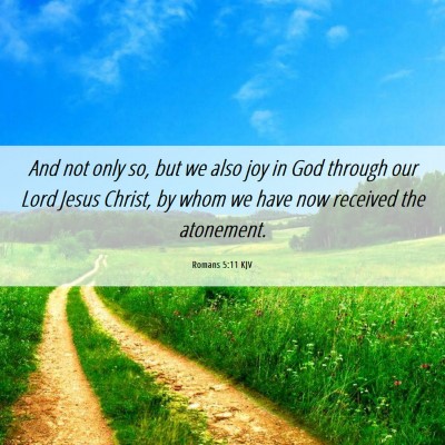 Picture 06 - Romans 5:11 KJV - And not only so, but we also joy in God through - Bible Verse Picture