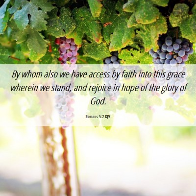 Picture 06 - Romans 5:2 KJV - By whom also we have access by faith into this - Bible Verse Picture