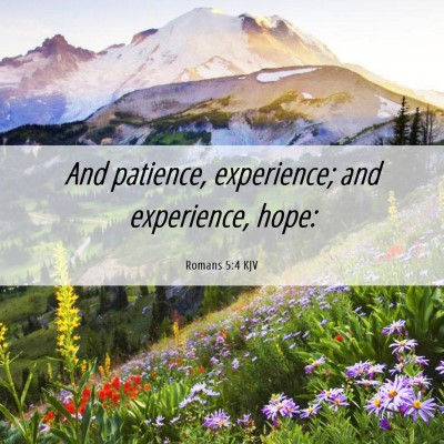 Picture 06 - Romans 5:4 KJV - And patience, experience; and experience, - Bible Verse Picture