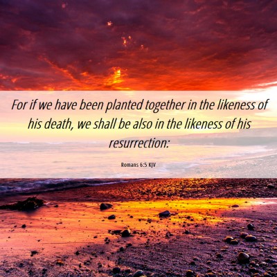 Picture 06 - Romans 6:5 KJV - For if we have been planted together in the - Bible Verse Picture