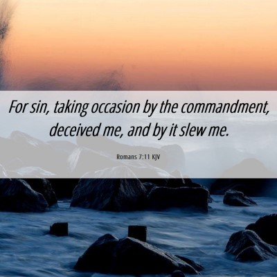 Picture 06 - Romans 7:11 KJV - For sin, taking occasion by the commandment, - Bible Verse Picture