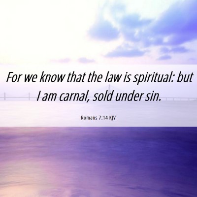 Picture 06 - Romans 7:14 KJV - For we know that the law is spiritual: but I am - Bible Verse Picture