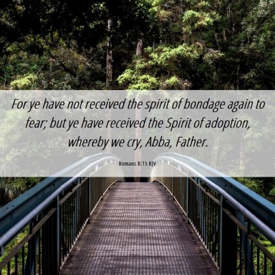 Picture 06 - Romans 8:15 KJV - For ye have not received the spirit of bondage - Bible Verse Picture