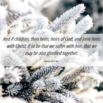 Picture 06 - Romans 8:17 KJV - And if children, then heirs; heirs of God, and - Bible Verse Picture