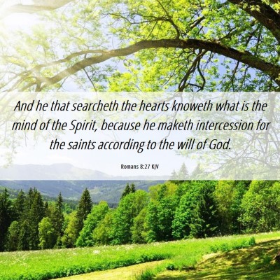Picture 06 - Romans 8:27 KJV - And he that searcheth the hearts knoweth what is - Bible Verse Picture
