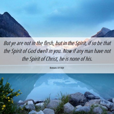 Picture 06 - Romans 8:9 KJV - But ye are not in the flesh, but in the Spirit, - Bible Verse Picture