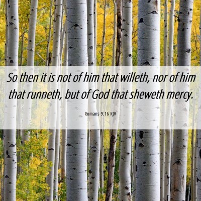 Picture 06 - Romans 9:16 KJV - So then it is not of him that willeth, nor of him - Bible Verse Picture