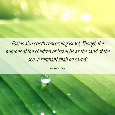 Picture 06 - Romans 9:27 KJV - Esaias also crieth concerning Israel, Though the - Bible Verse Picture