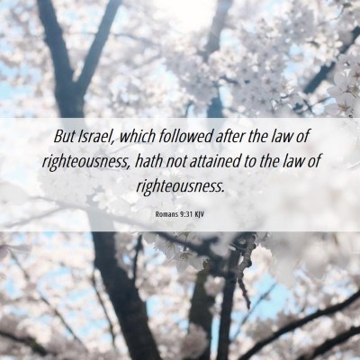 Picture 06 - Romans 9:31 KJV - But Israel, which followed after the law of - Bible Verse Picture