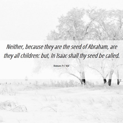 Picture 06 - Romans 9:7 KJV - Neither, because they are the seed of Abraham, - Bible Verse Picture