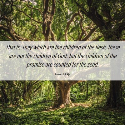Picture 06 - Romans 9:8 KJV - That is, They which are the children of the - Bible Verse Picture