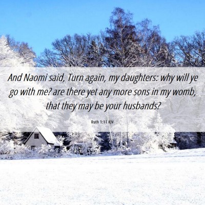 Picture 06 - Ruth 1:11 KJV - And Naomi said, Turn again, my daughters: why - Bible Verse Picture