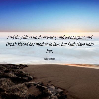Picture 06 - Ruth 1:14 KJV - And they lifted up their voice, and wept again: - Bible Verse Picture