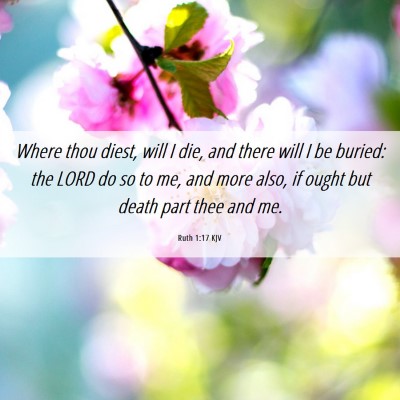 Picture 06 - Ruth 1:17 KJV - Where thou diest, will I die, and there will I be - Bible Verse Picture
