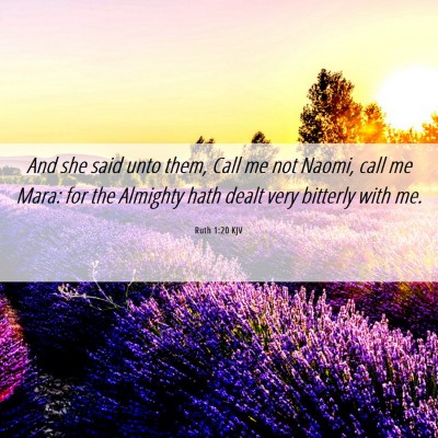 Picture 06 - Ruth 1:20 KJV - And she said unto them, Call me not Naomi, call - Bible Verse Picture