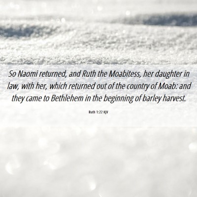 Picture 06 - Ruth 1:22 KJV - So Naomi returned, and Ruth the Moabitess, her - Bible Verse Picture