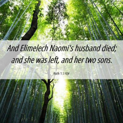 Picture 06 - Ruth 1:3 KJV - And Elimelech Naomi's husband died; and she was - Bible Verse Picture