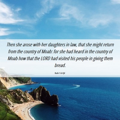 Picture 06 - Ruth 1:6 KJV - Then she arose with her daughters in law, that - Bible Verse Picture
