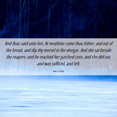Picture 06 - Ruth 2:14 KJV - And Boaz said unto her, At mealtime come thou - Bible Verse Picture