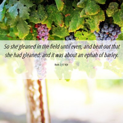 Picture 06 - Ruth 2:17 KJV - So she gleaned in the field until even, and beat - Bible Verse Picture