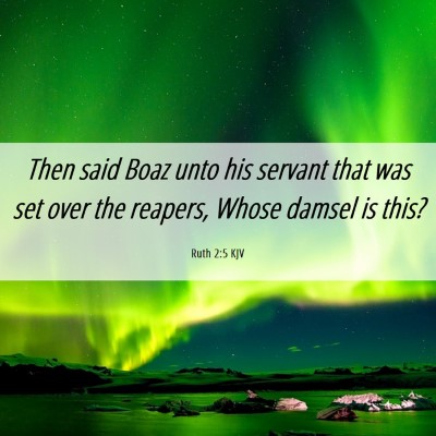 Picture 06 - Ruth 2:5 KJV - Then said Boaz unto his servant that was set over - Bible Verse Picture