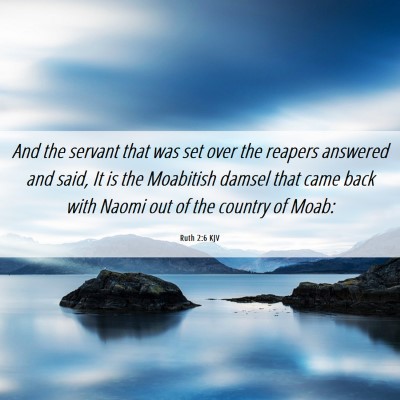 Picture 06 - Ruth 2:6 KJV - And the servant that was set over the reapers - Bible Verse Picture