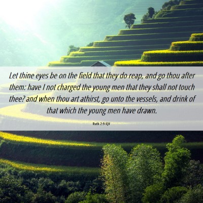Picture 06 - Ruth 2:9 KJV - Let thine eyes be on the field that they do reap, - Bible Verse Picture