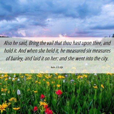 Picture 06 - Ruth 3:15 KJV - Also he said, Bring the vail that thou hast upon - Bible Verse Picture
