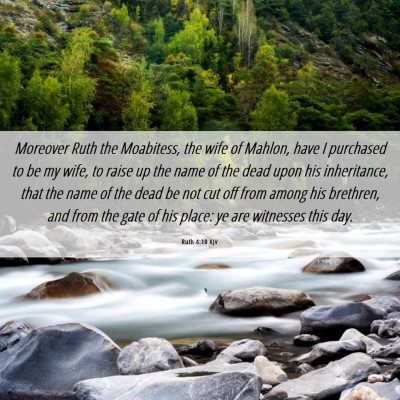Picture 06 - Ruth 4:10 KJV - Moreover Ruth the Moabitess, the wife of Mahlon, - Bible Verse Picture