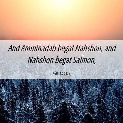 Picture 06 - Ruth 4:20 KJV - And Amminadab begat Nahshon, and Nahshon begat - Bible Verse Picture
