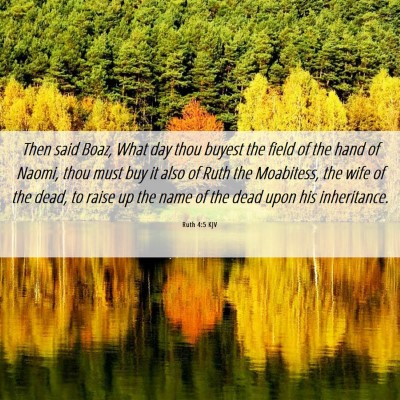 Picture 06 - Ruth 4:5 KJV - Then said Boaz, What day thou buyest the field of - Bible Verse Picture