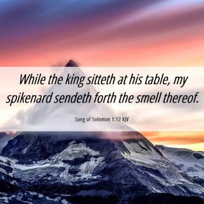 Picture 06 - Song of Solomon 1:12 KJV - While the king sitteth at his table, my spikenard - Bible Verse Picture