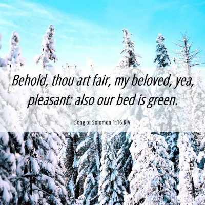 Picture 06 - Song of Solomon 1:16 KJV - Behold, thou art fair, my beloved, yea, pleasant: - Bible Verse Picture