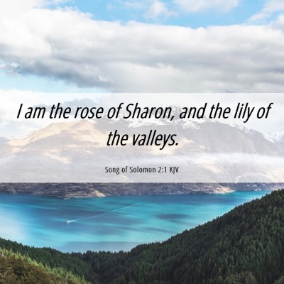 Picture 06 - Song of Solomon 2:1 KJV - I am the rose of Sharon, and the lily of the - Bible Verse Picture