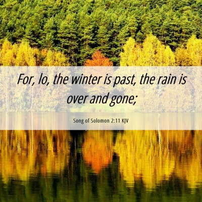 Picture 06 - Song of Solomon 2:11 KJV - For, lo, the winter is past, the rain is over and - Bible Verse Picture