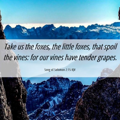 Picture 06 - Song of Solomon 2:15 KJV - Take us the foxes, the little foxes, that spoil - Bible Verse Picture