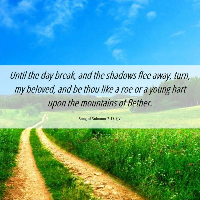 Picture 06 - Song of Solomon 2:17 KJV - Until the day break, and the shadows flee away, - Bible Verse Picture