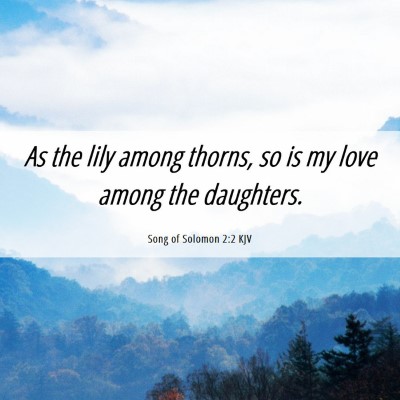 Picture 06 - Song of Solomon 2:2 KJV - As the lily among thorns, so is my love among the - Bible Verse Picture