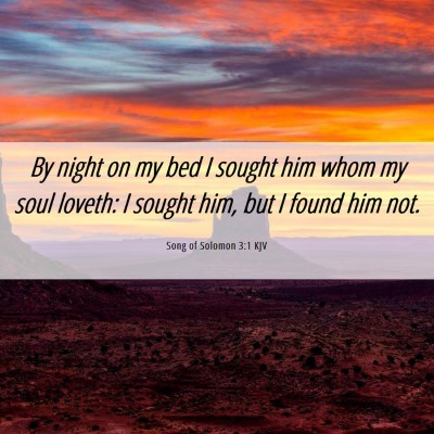 Picture 06 - Song of Solomon 3:1 KJV - By night on my bed I sought him whom my soul - Bible Verse Picture