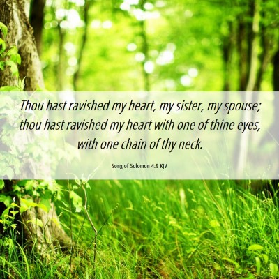 Picture 06 - Song of Solomon 4:9 KJV - Thou hast ravished my heart, my sister, my - Bible Verse Picture