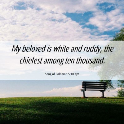Picture 06 - Song of Solomon 5:10 KJV - My beloved is white and ruddy, the chiefest among - Bible Verse Picture