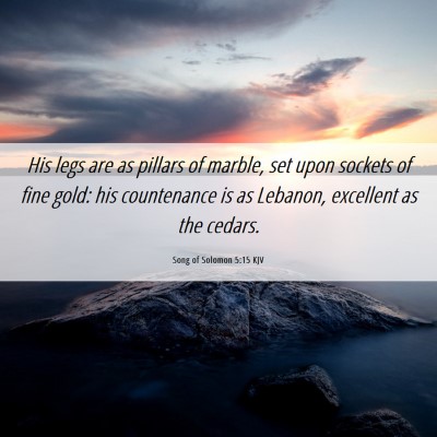 Picture 06 - Song of Solomon 5:15 KJV - His legs are as pillars of marble, set upon - Bible Verse Picture