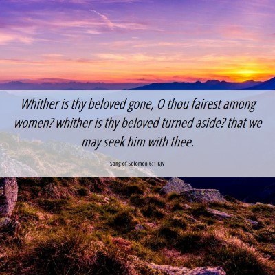Picture 06 - Song of Solomon 6:1 KJV - Whither is thy beloved gone, O thou fairest among - Bible Verse Picture