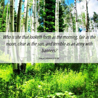 Picture 06 - Song of Solomon 6:10 KJV - Who is she that looketh forth as the morning, - Bible Verse Picture