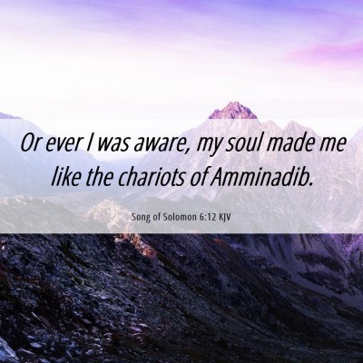 Picture 06 - Song of Solomon 6:12 KJV - Or ever I was aware, my soul made me like the - Bible Verse Picture