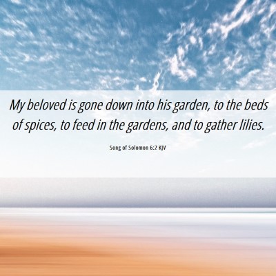 Picture 06 - Song of Solomon 6:2 KJV - My beloved is gone down into his garden, to the - Bible Verse Picture
