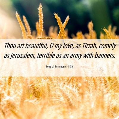 Picture 06 - Song of Solomon 6:4 KJV - Thou art beautiful, O my love, as Tirzah, comely - Bible Verse Picture