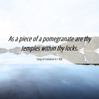 Picture 06 - Song of Solomon 6:7 KJV - As a piece of a pomegranate are thy temples - Bible Verse Picture