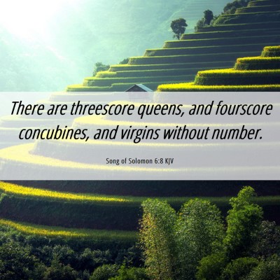 Picture 06 - Song of Solomon 6:8 KJV - There are threescore queens, and fourscore - Bible Verse Picture